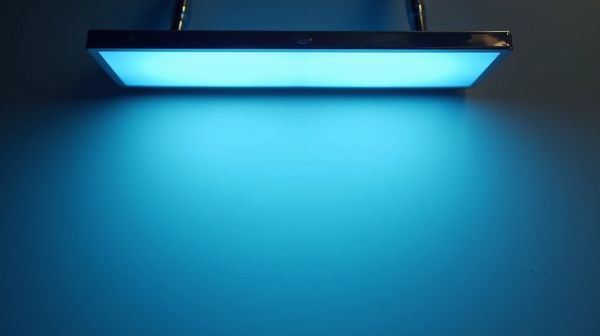 Optimiser votre éclairage avec le néon LED pour des économies d'énergie